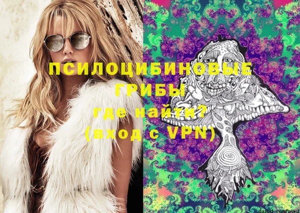 дживик Алексеевка